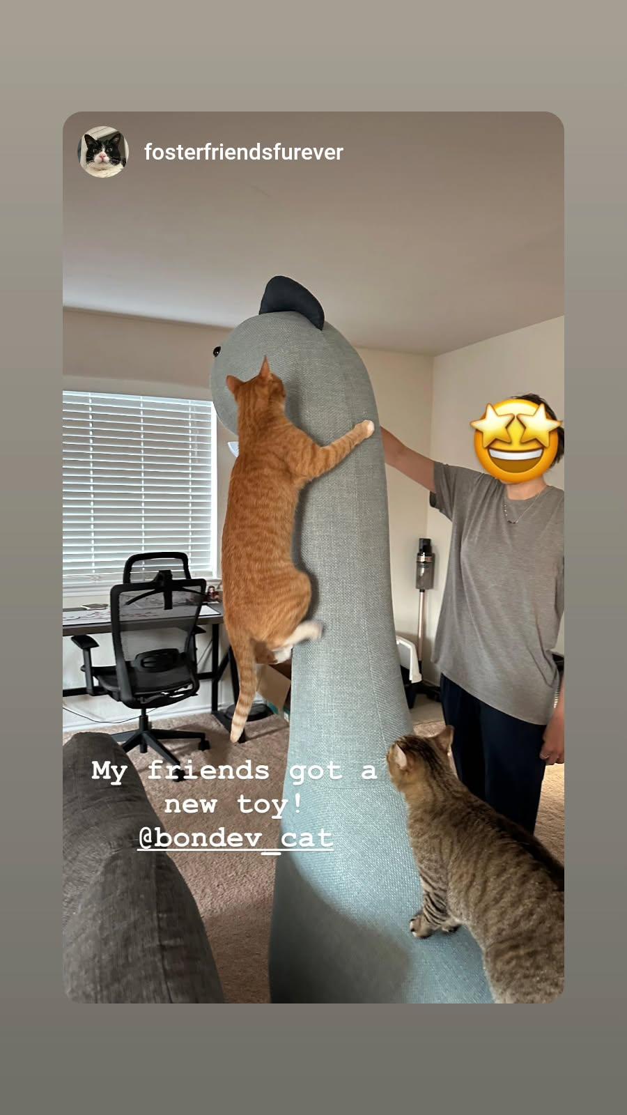 6.5 ft Giant Dinosaur Cat Tree - Weave Fabric